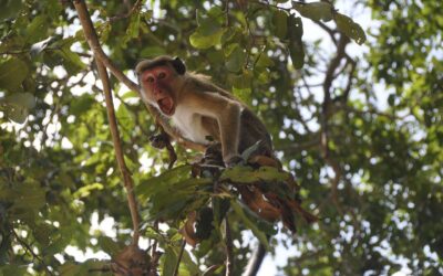 Avoiding RCM Pitfalls: 15 Common Mistakes That Doctors Should Steer Clear Of