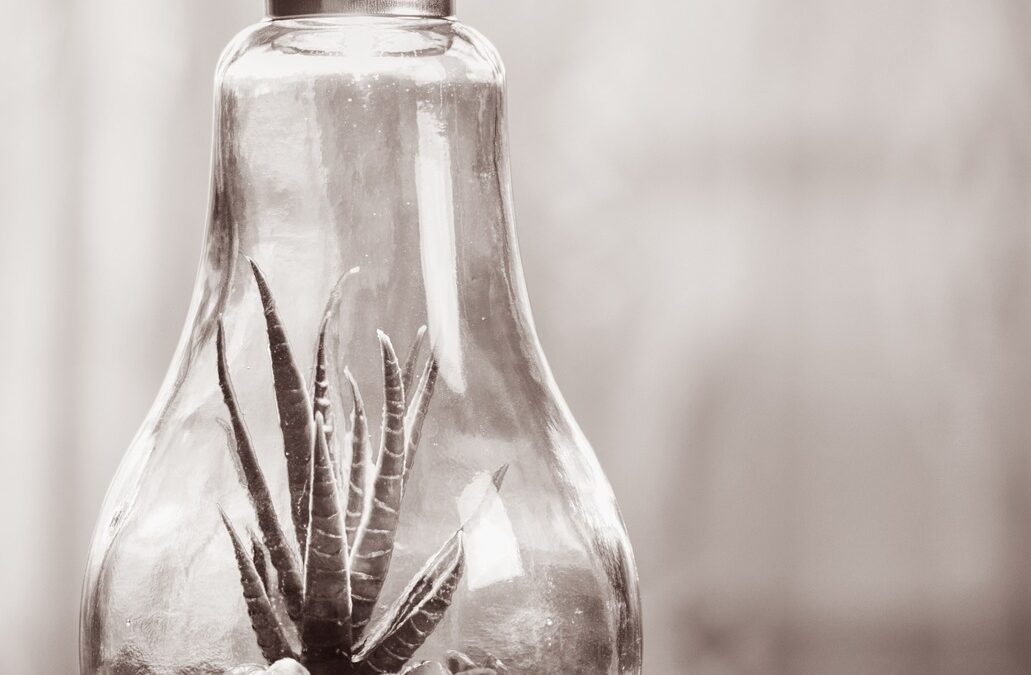 How to Create an Efficient RCM Checklist for Managing Multiple Revenue Sources in Your Practice