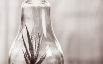 How to Create an Efficient RCM Checklist for Managing Multiple Revenue Sources in Your Practice