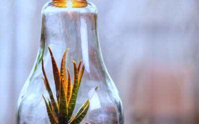 How to Use RCM Checklists to Stay Organized and Reduce Mistakes in the Revenue Cycle Process