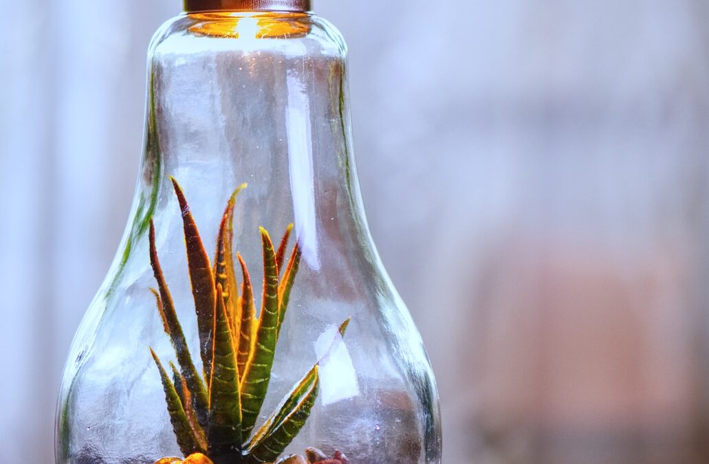 RCM Challenges in 2025: Managing the Growing Complexity of Patient Payment Responsibility