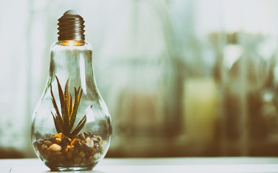 RCM Implementation Checklist: Steps to Implement an Effective Billing and Coding System