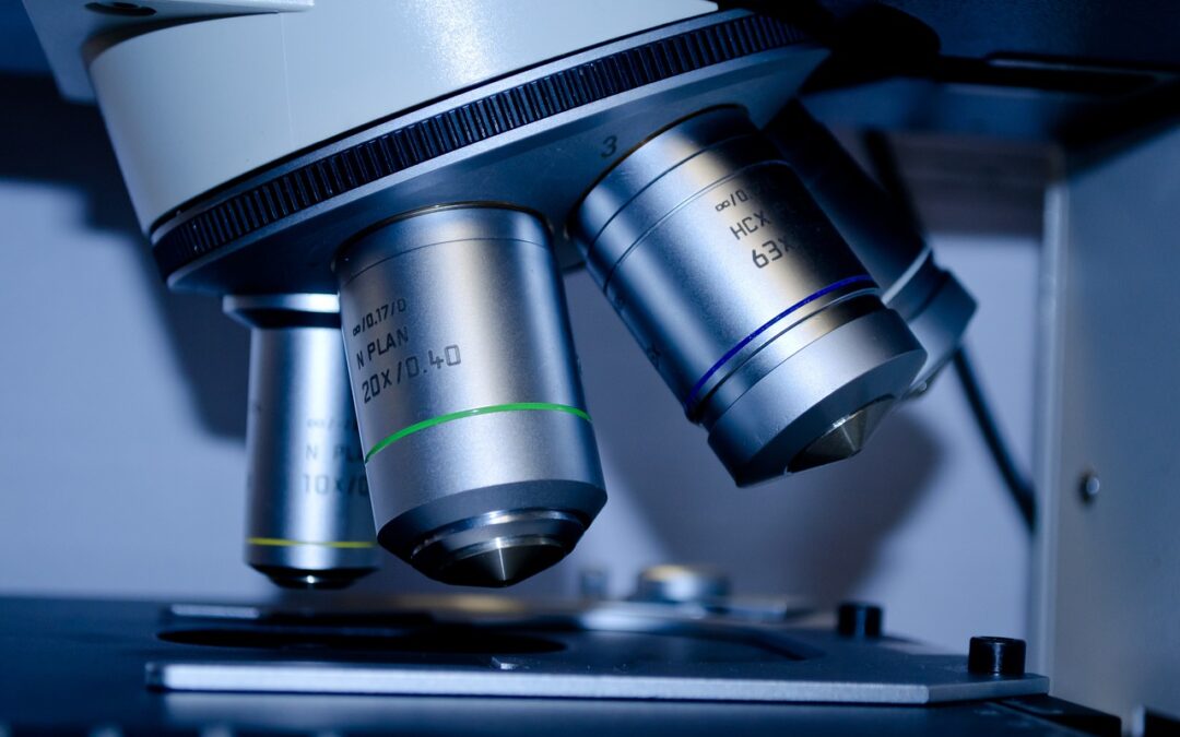 RCM in 2025: How US Healthcare Providers Can Achieve Financial Success Amidst Regulatory Change