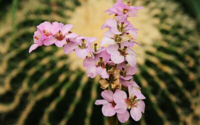 RCM Mistakes That Affect Your Practices Tax Reporting and How to Avoid Them