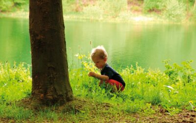 The Importance of Developing Custom RCM Checklists Tailored to Your Practices Needs